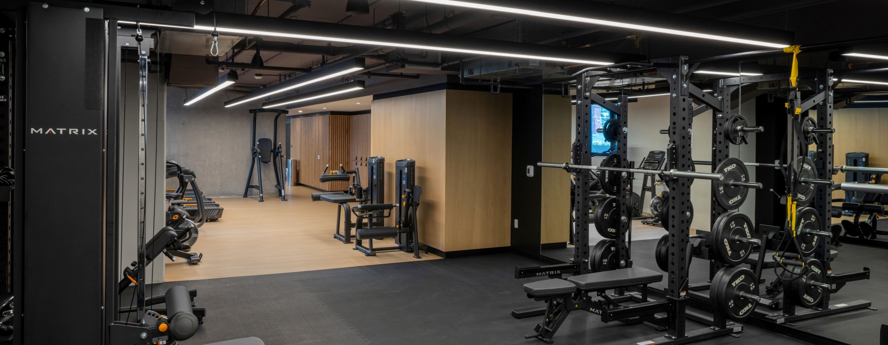 Dark apartment gym with freer weights, cardio machines, and more